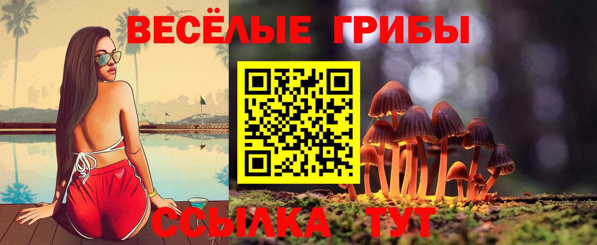 Галлюциногенные грибы мицелий Нововоронеж